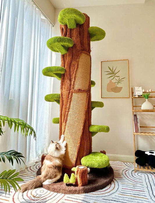 Luxuriöser Kratzbaum sieht aus wie ein baumhoher Kletterrahmen