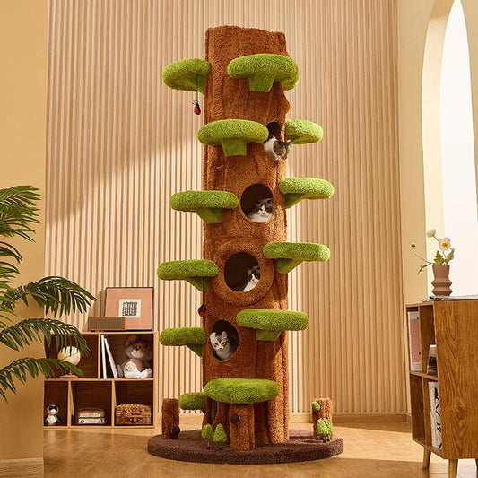 Luxuriöser Kratzbaum sieht aus wie ein baumhoher Kletterrahmen
